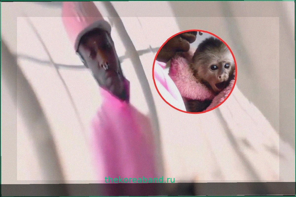 Lil Uzi Vert Анонсирует Новый Альбом и Показывает Обезьянку
